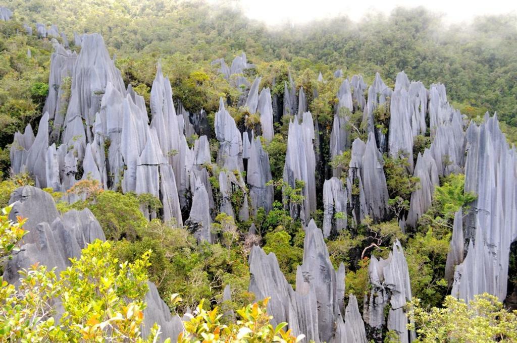 Mulu National Park Ξενοδοχείο Εξωτερικό φωτογραφία