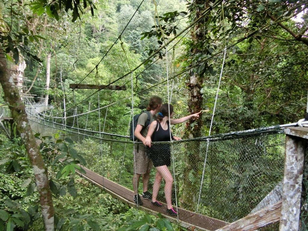 Mulu National Park Ξενοδοχείο Εξωτερικό φωτογραφία